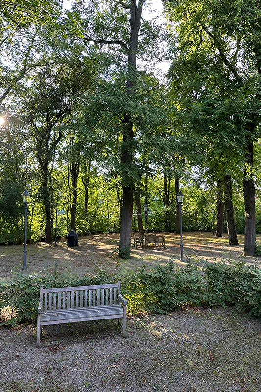 Blick auf einen Park mit Bank und Kastanien